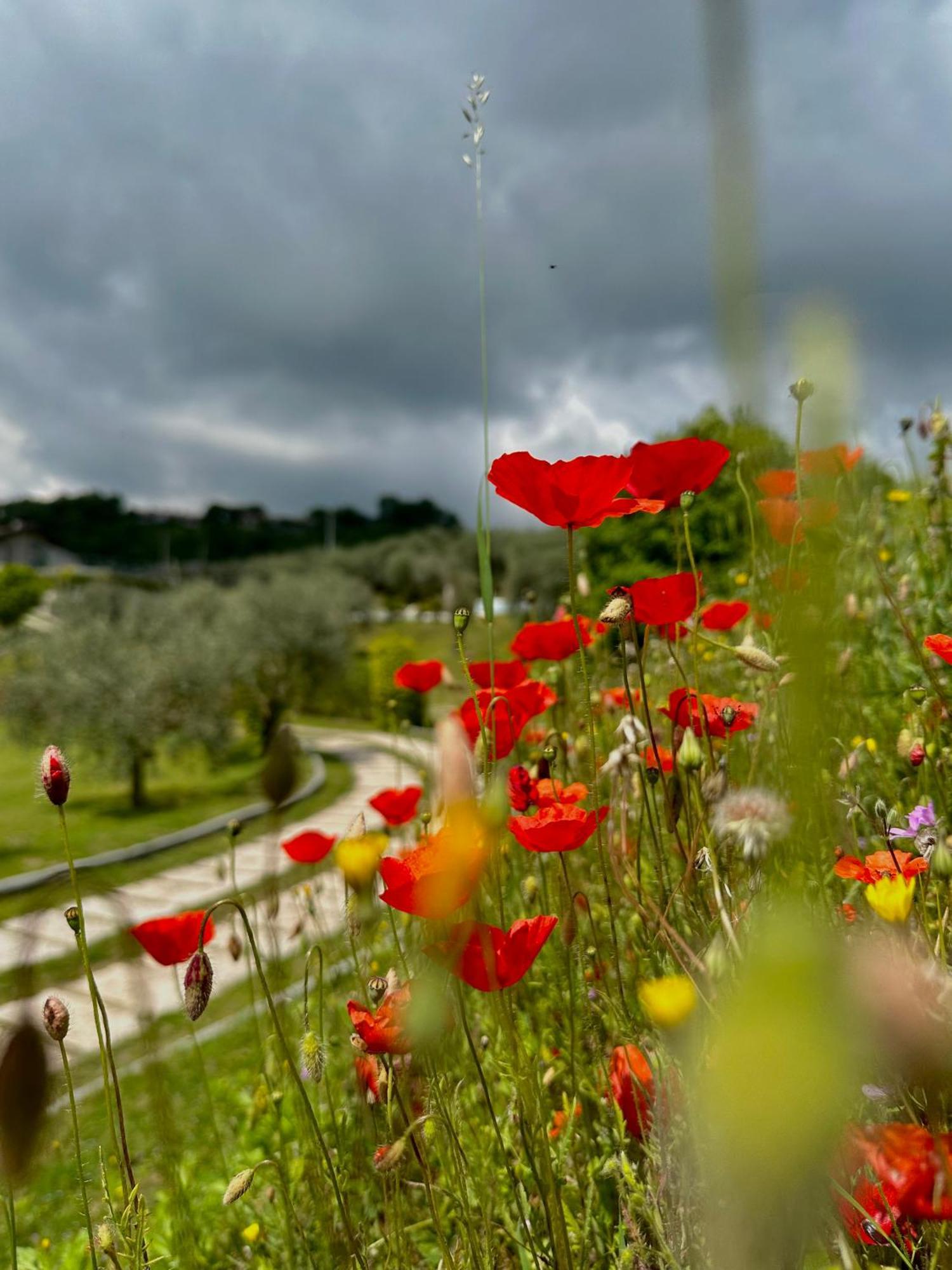 Holiday Home Sovenigo Puegnago Exterior foto